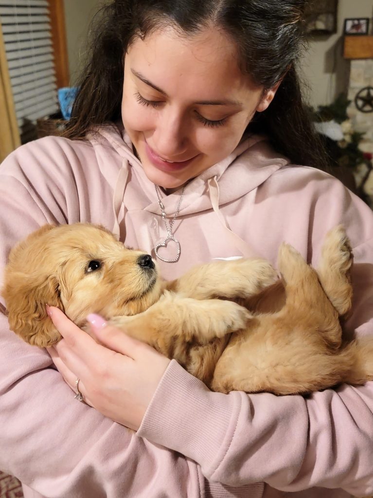 New GOLDENDOODLE PUPPY CHECKLIST: Ultimate Preparation Guide 