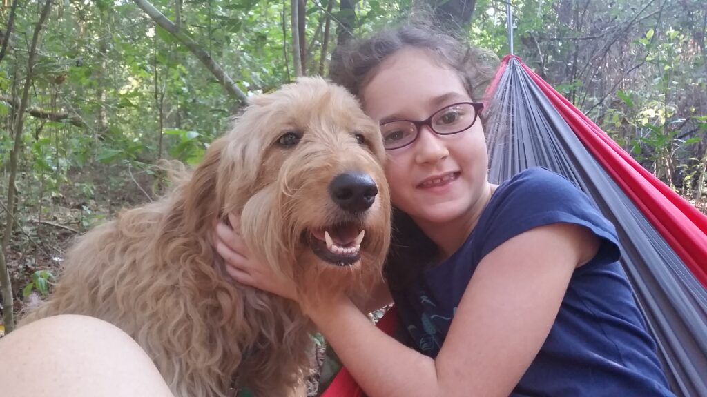 Why Goldendoodles Make Great Pets